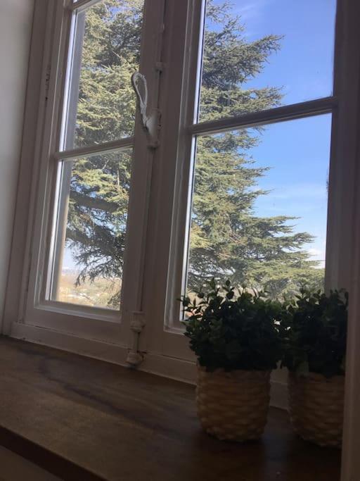 Grand Appart 150M2 Dans Belle Maison Bourgeoise Vernaison Extérieur photo