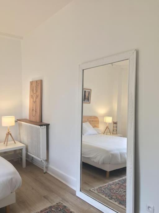 Grand Appart 150M2 Dans Belle Maison Bourgeoise Vernaison Extérieur photo