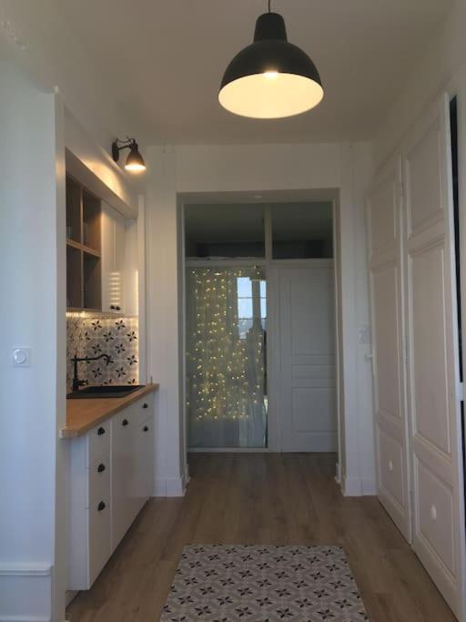Grand Appart 150M2 Dans Belle Maison Bourgeoise Vernaison Extérieur photo