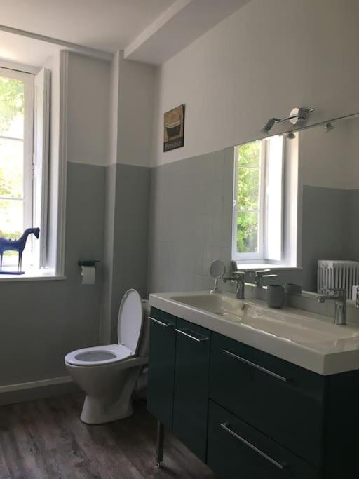 Grand Appart 150M2 Dans Belle Maison Bourgeoise Vernaison Extérieur photo