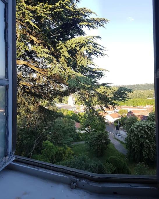 Grand Appart 150M2 Dans Belle Maison Bourgeoise Vernaison Extérieur photo