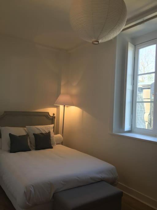 Grand Appart 150M2 Dans Belle Maison Bourgeoise Vernaison Extérieur photo