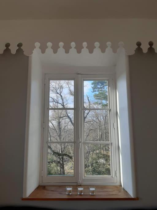 Grand Appart 150M2 Dans Belle Maison Bourgeoise Vernaison Extérieur photo