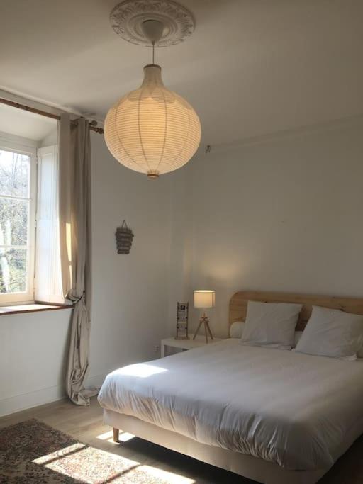Grand Appart 150M2 Dans Belle Maison Bourgeoise Vernaison Extérieur photo